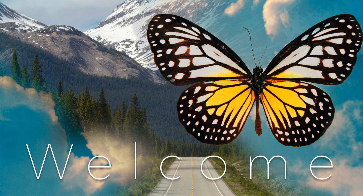 1440x780_banner_WelcomeButterfly_o